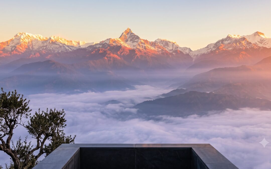 The Architecture of Longevity: Designing a Life That Ages Beautifully